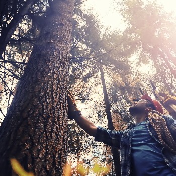 Secteur activité forestier